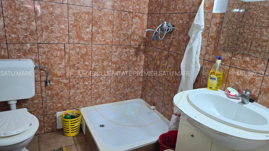 De Vânzare Casă Culciu Mare Satu Mare - 10