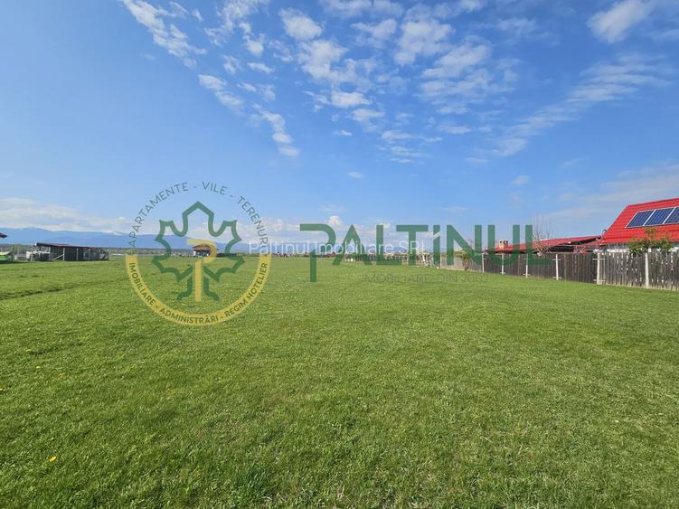 Teren extravilan de vânzare în Șelimbăr – 1.500 mp cu acces din drumul national - 4