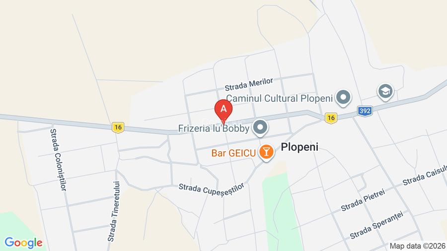 Casa de vânzare  in sat Plopeni la 40 km de Techirghiol  - 6