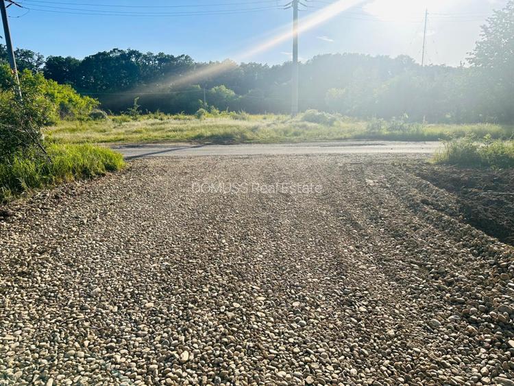 TEREN INTRAVILAN |  1000 mp | CORBEANCA | TAMASI | PADURE |  - 4