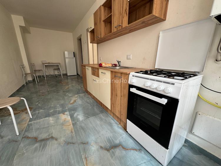 Apartament cu 1 camera Visan - 3