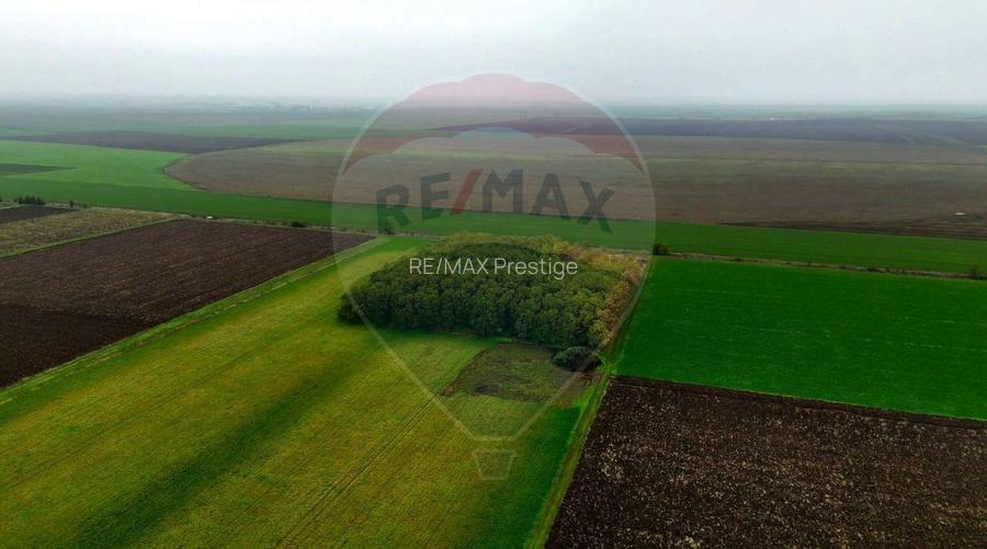 Ferma agro-industrială – 43 ha Adunații Copaceni - 10