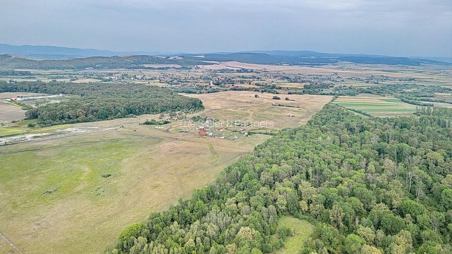 Teren Extravilan - 14