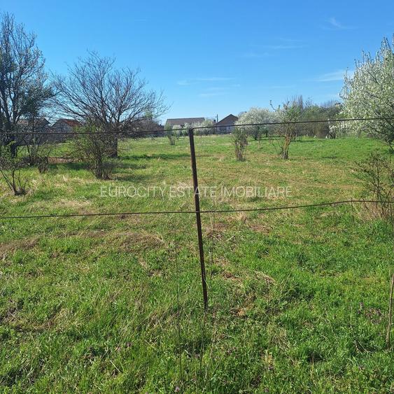 Dragomiresti- Vale, str Nucilor, teren intravilan 2.262mp. - 9