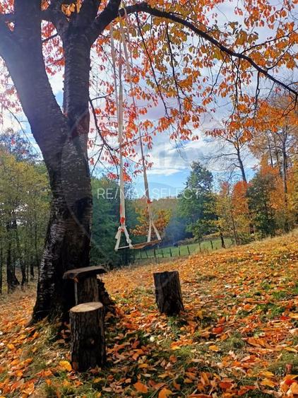 Vânzare casa la munte - zona turistica - Baia de Fier - 29