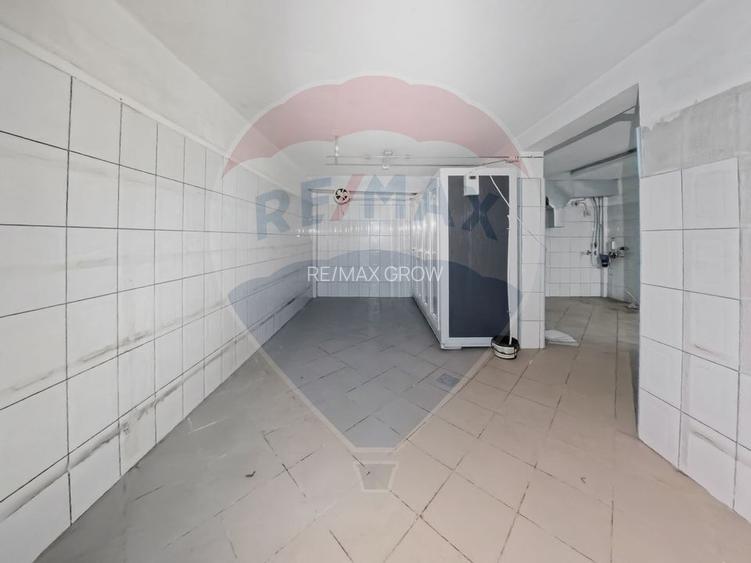 Cladire individuala 243 mp de inchiriat pe strada Mioritei - 3