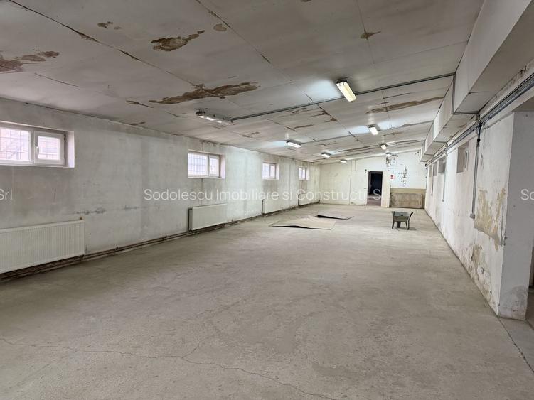 Hală industrială cu poziționare strategică în Giarmata - 15