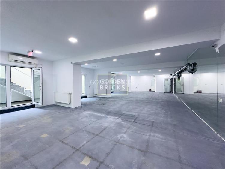 Banu Manta | Piata Victoriei | 230mp | open space - 2