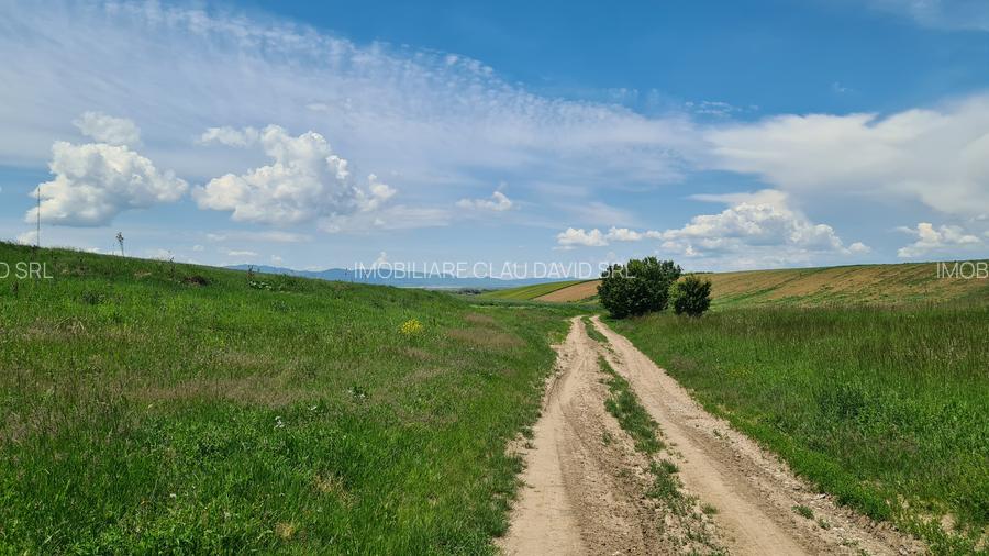 TEREN INTRAVILAN  BOD - 1200 mp pentru constructii case Sp+P+E+M - 12