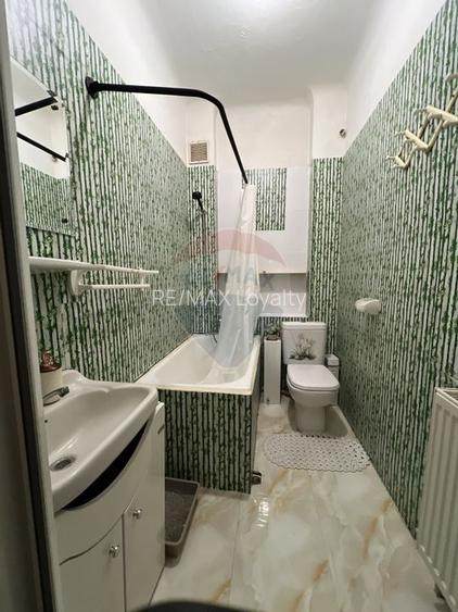 De vanzare casa cu gradina la pret excelent sector 1 - 11