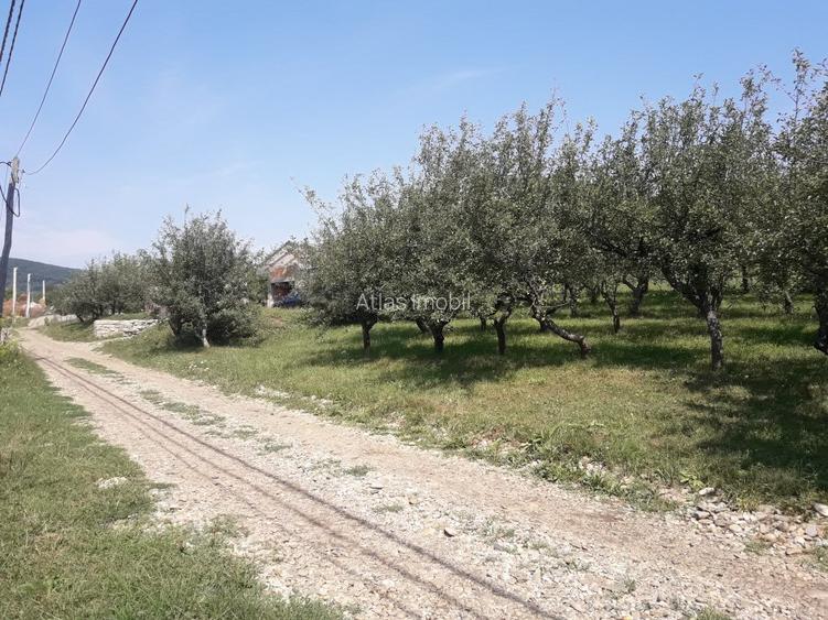 85 ari teren extravilan, intre case, la limita intravilanului Zona Valea Rusului - 2