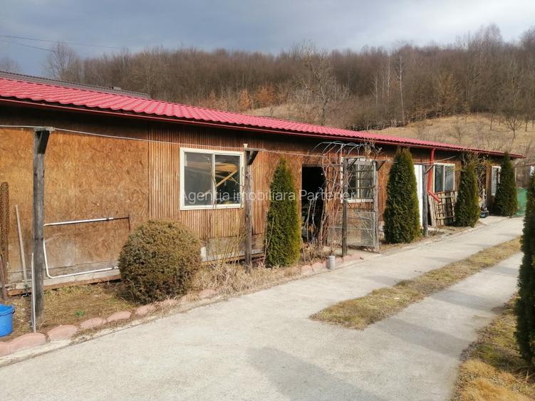 Casa P+M, Malureni -Toplita,  teren 2.798mp - 40