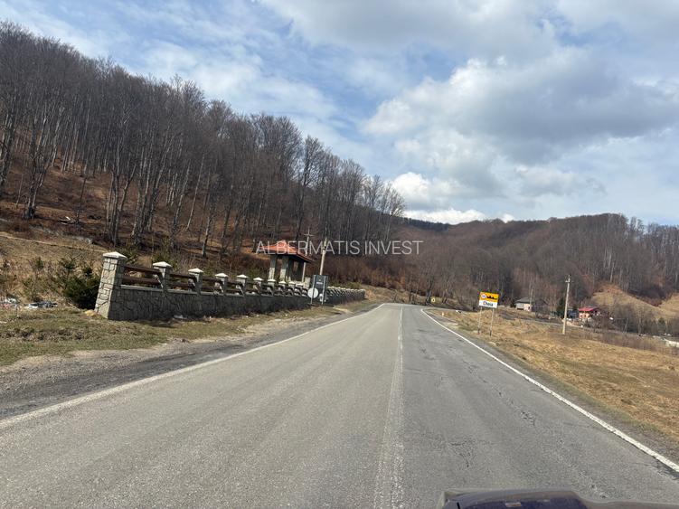 VANZARE PADURE MANECIU -CHEIA,  40HA - 12