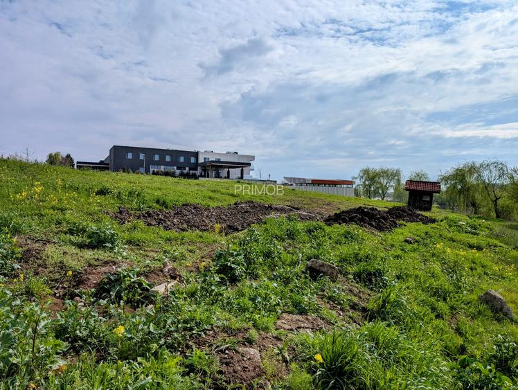 Paradisul Verde-Corbeanca,intravilan,10300mp,deschidere lac-120m,view deosebit - 6