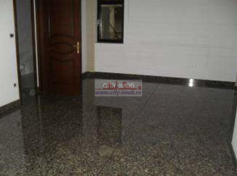 Inchiriere Vila Iancu Nicolae Gradinita, Clinica Medicala - 6