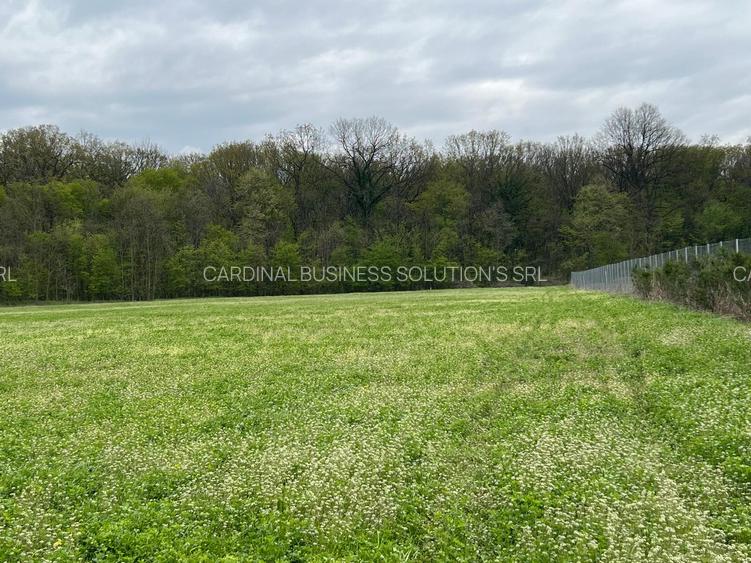 Ciolpani - spre Izvorani, str.Mihail Manolescu- 1500 mp - 9