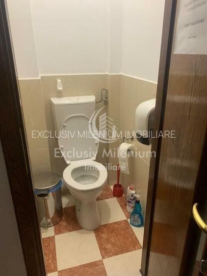 Birouri Cismigiu  /Calea Victoriei - 10