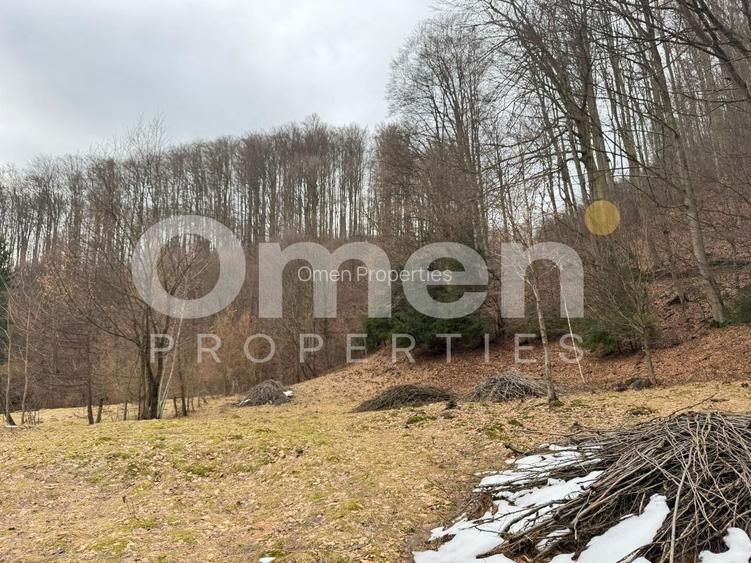 Teren extravilan de vânzare | 1402 mp | Blidari | zonă superbă - 2