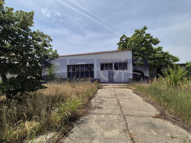 De vanzare teren industrial in Calarasi/Belciugatele - 4