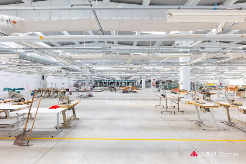 Timișoara - Depozit și birouri de vânzare - 6