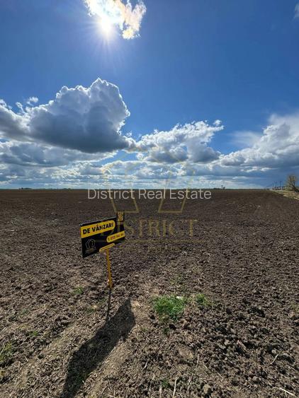 Teren extravilan - constructii industriale 5ha | Sag | Frigoglass - 3