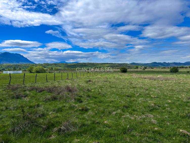Teren Bran Zarnesti 3 km Castelul Bran 25 km Brasov - 11