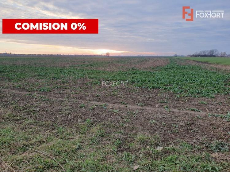 COMISION 0% Teren extravilan agricol 10.000 mp la sosea in Sag - 5