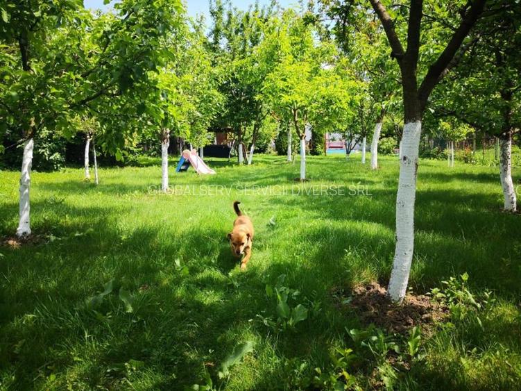 FARA COMISIOANE casa cu 6 camere 2 bucatarii P+1 TIGLA PISCINA BECI GARAJ - 5