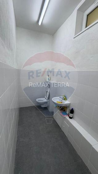 De închiriat Spațiu Comercial în Baia Sprie - 4