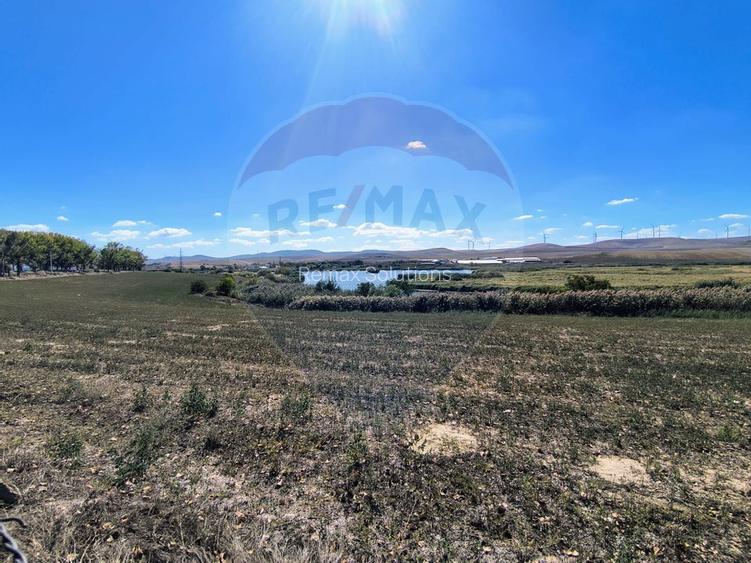 Teren extravilan de vanzare in Tulcea - 9