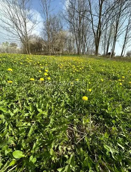 TEREN DE VANZARE -SULTANU,VISINESTI - 4