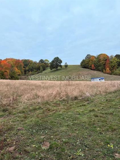 Teren intravilan 17,265 mp in Tomnatic comuna Vadu Crisului - 4