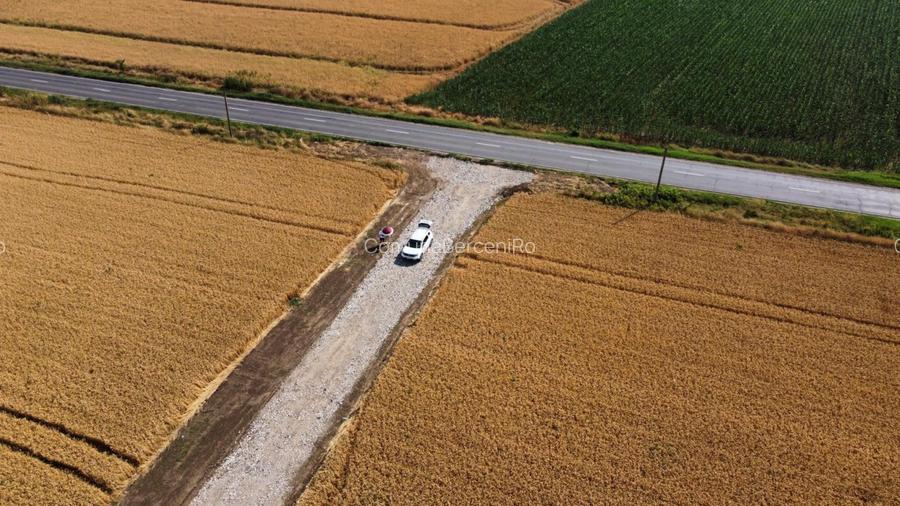 Teren Intravilan In Rate in Frumusani | utilitati: gaz, curent | #RG1 - 5