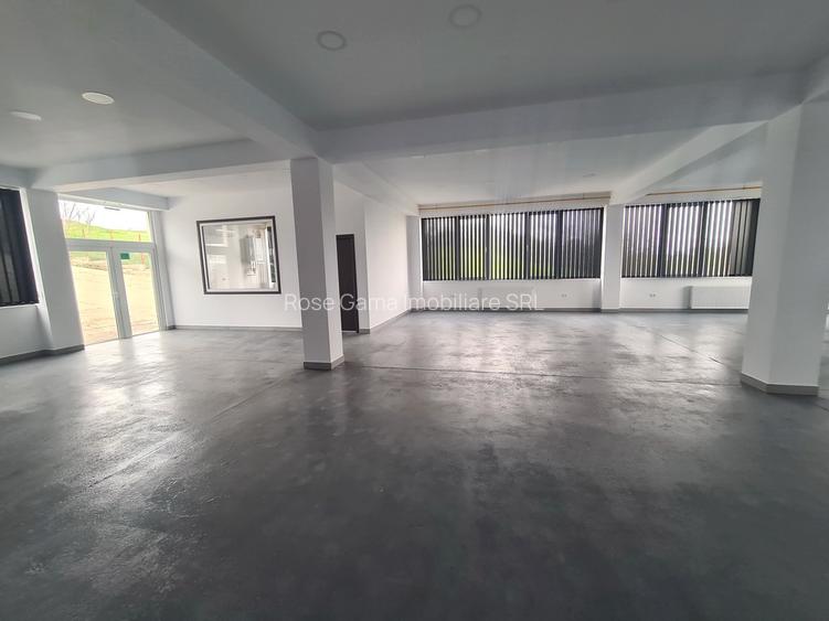 Spațiu birouri / depozitare / producție ușoară – Tătărași, Aurel Vlaicu - 6