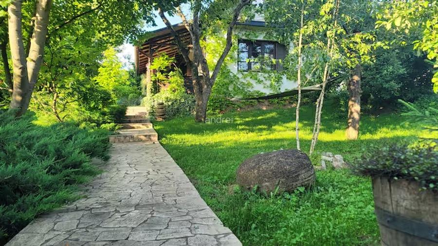 Vand 0.75 ha in Bazna cu 3 case, livada, gradina, pentru pensiune, camping... - 2