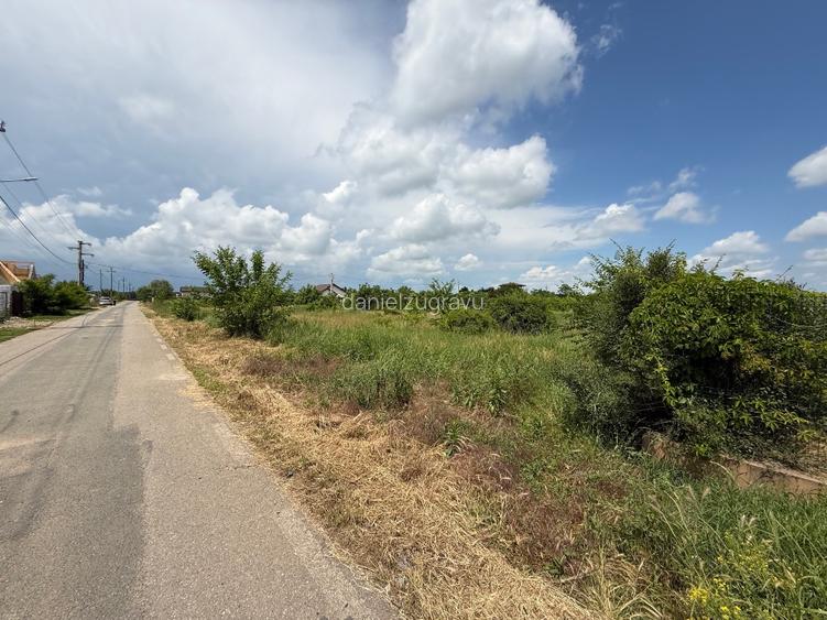 Teren intravilan 1850 mp – Gradistea, Ilfov | Dubla deschidere stradala - 6