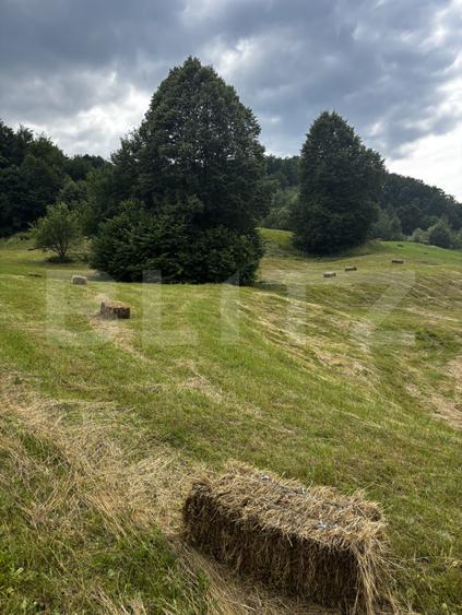 Teren intravilan, Bucșoaia - Frasin, 13000 mp