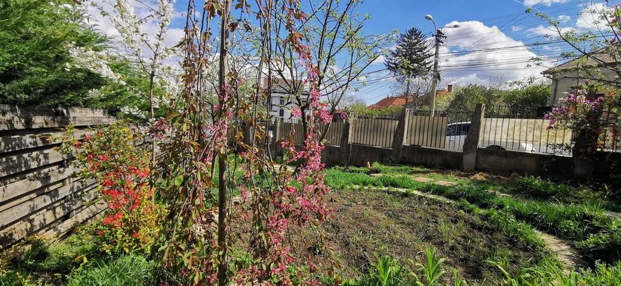Garsoniera la casa de inchiriat Pet friendly
