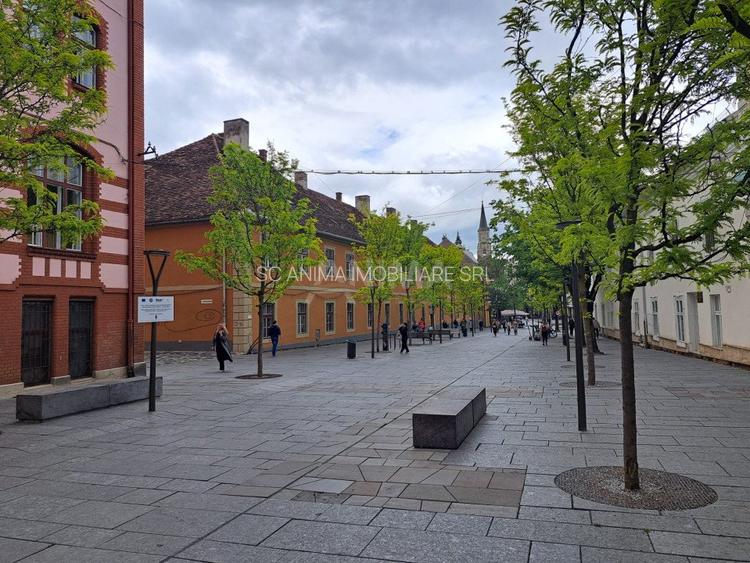 Apartament 2 camere ultracentral, parcare in curte - 12