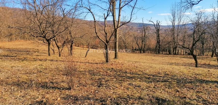 Teren | Comarnic | 2700mp | Intravilan - 2