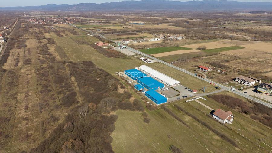 Teren extravilan de 7.000 mp lângă Păltiniș - 14