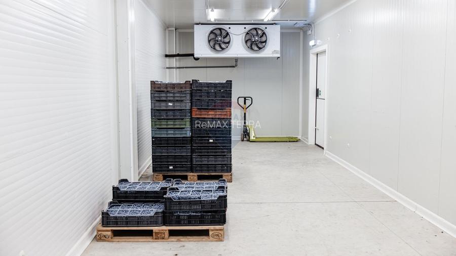 BUSINESS DE VANZARE Plantatie de afin din Romania - 9