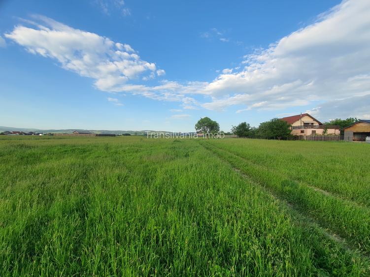 Teren rezidential Bod-Brasov zona de case - 3