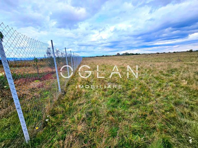 SUPER OFERTA! Teren 2000mp - Valea Avrigului, Sibiu - 7