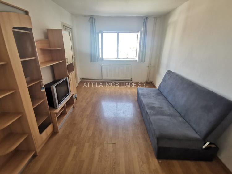 Lipovei- Ion Ionescu de la Brad 3 camere 350 euro - 2