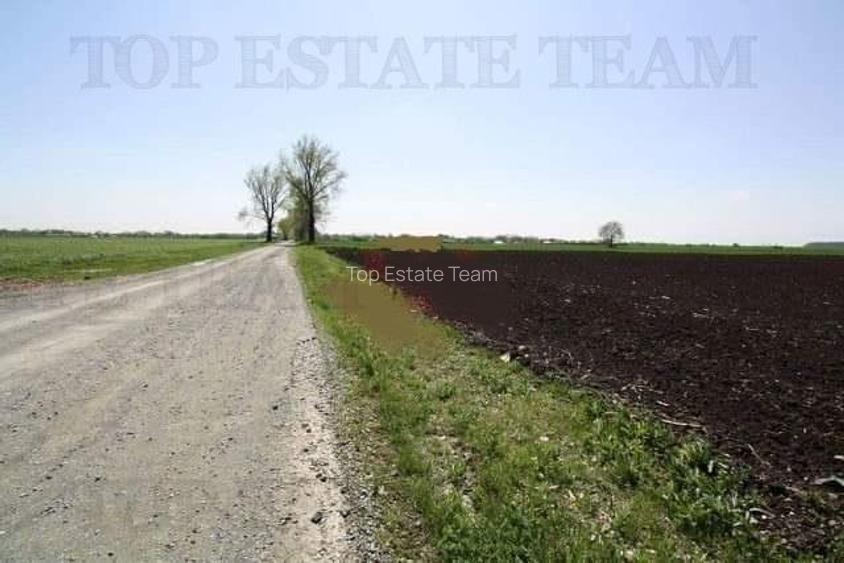 Teren  de vazare pt investitie, Sinesti, 4 eur / mp, 21000mp , Ialomita - 3