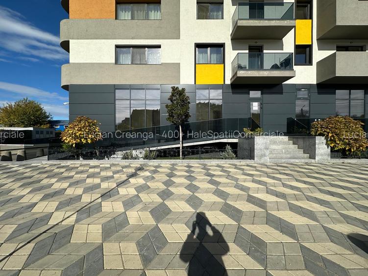 Spatiu comercial intabulat de vanzare, 420mp, Pasaj Bucium - 37