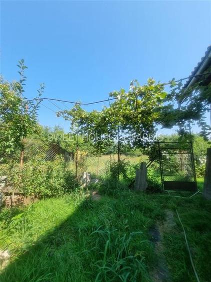 CASA DE VANZARE IN SERCAITA - 20