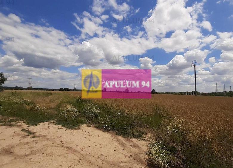 Teren 715mp în Snagov lângă Equestria - 46