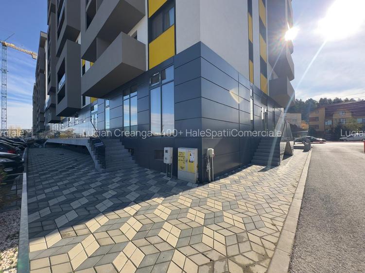Spatiu comercial intabulat de vanzare, 420mp, Pasaj Bucium - 34